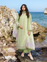 AKBAR ASLAM FAYE - Image 2