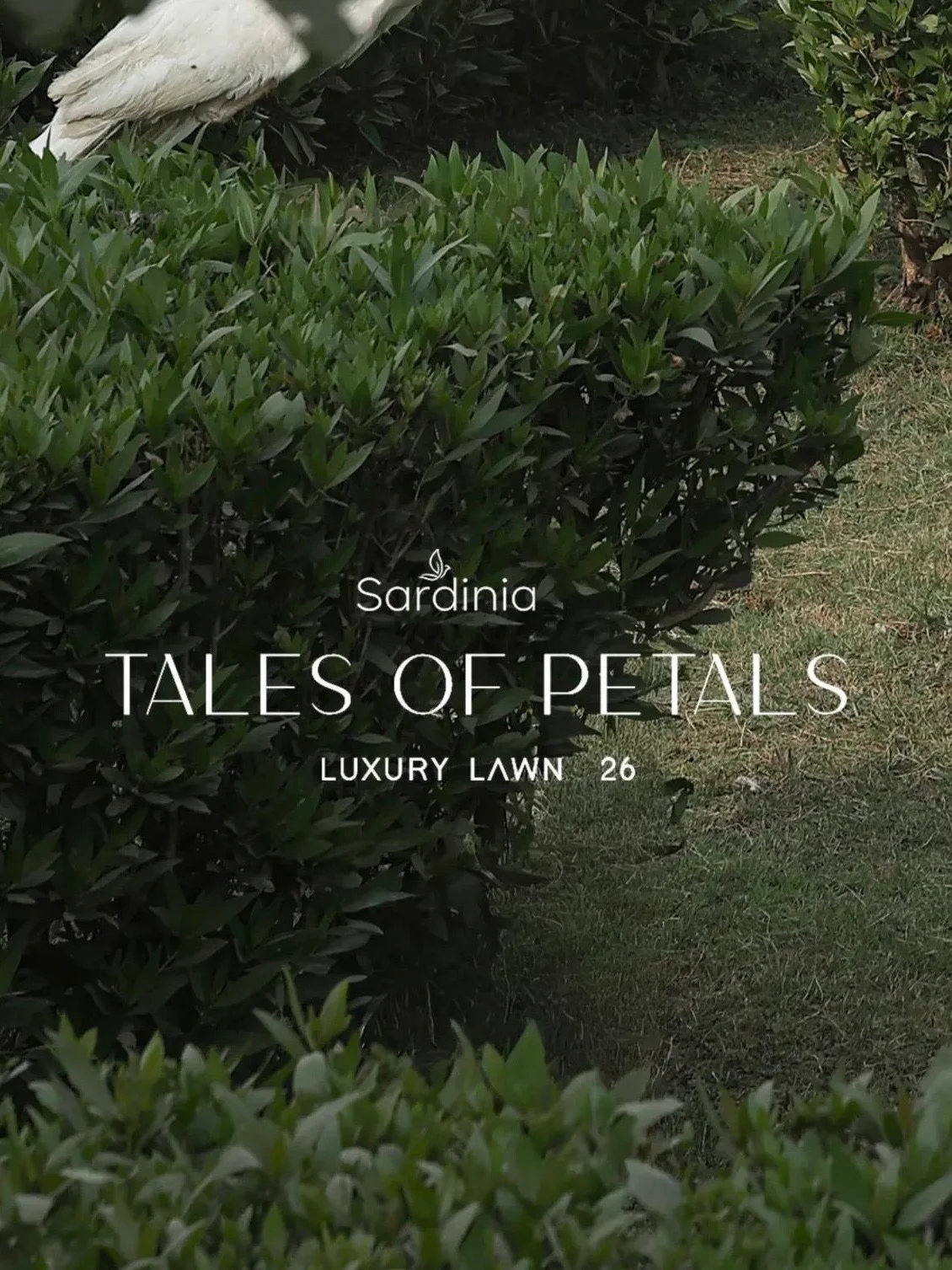 Sardinia | Tales of Petals