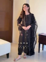 AYESHA B haseen - Image 5