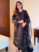 AYESHA B haseen - Image 4