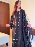 AYESHA B haseen - Image 2