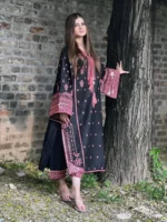 Chaudhary Arts Ajal - Image 6