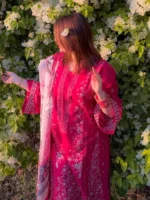 HASEEB ARTS MAHARANI RED - Image 5