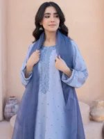 Torani AMBER - Image 3