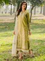 Bin Ilyas 231 - A - Image 2